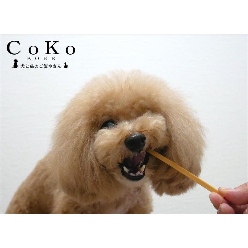 CoKoオリジナル 犬おやつ 無添加 国産 チーズスティック(50g) Cheese stick for dogs｜coko-kobe-dogcat｜06