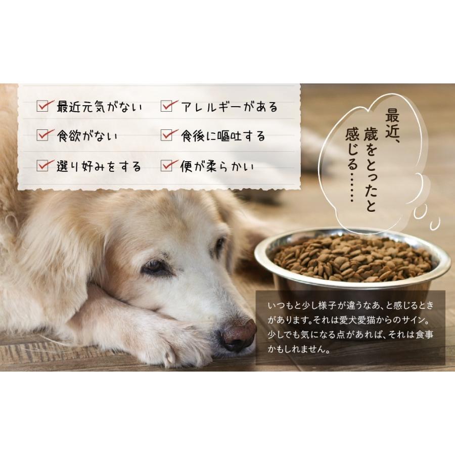 Cokoオリジナル ドッグフード用トッピング 初回限定 送料無料 Cokoご飯お試しセット 無添加 国産 手作り食 冷凍 50g 6pack Trial Set Coko Food Traial Coko 犬と猫のご飯やさん 通販 Yahoo ショッピング