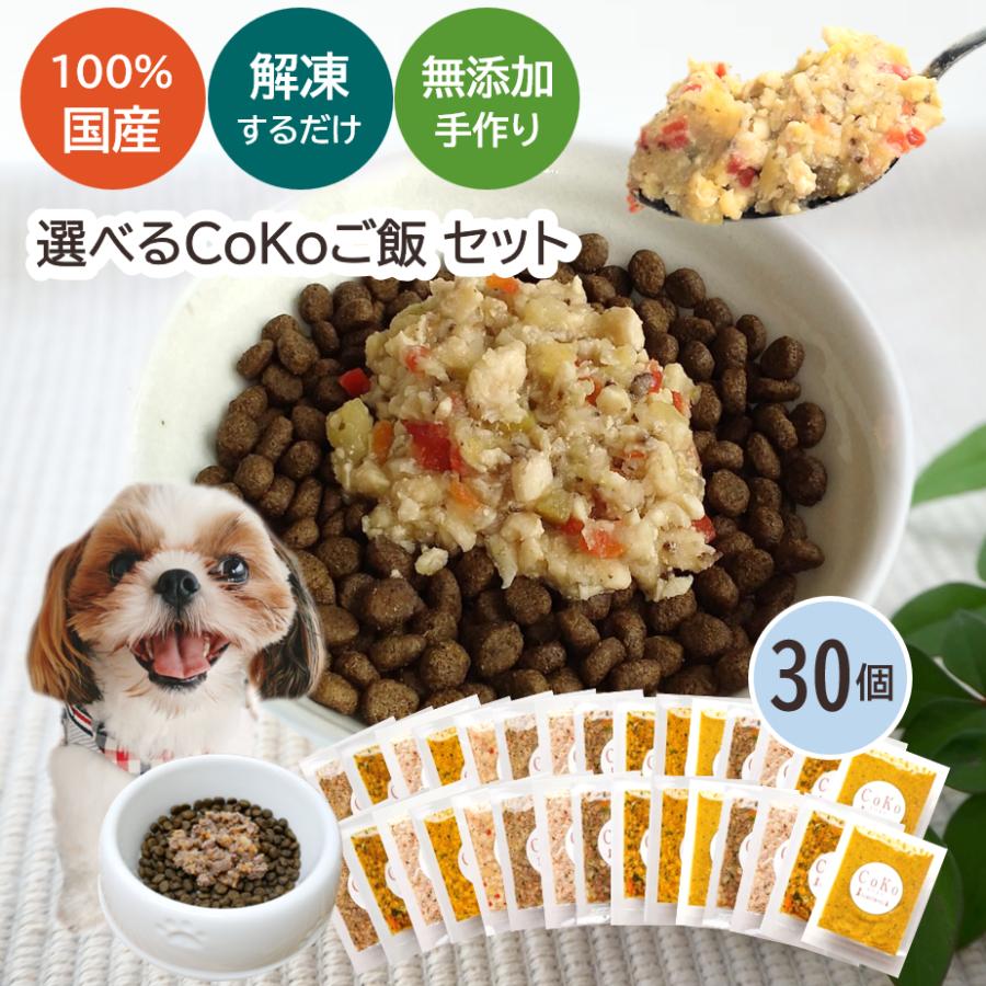 新品未開封 大型犬のためのこのこのごはん 3kg 国産ドッグフード