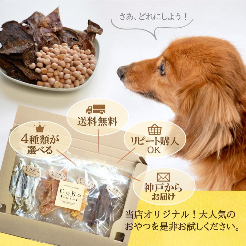 送料無料【小型配送 / ポスト投函】CoKoオリジナル 国産 犬おやつ 無添加 28種から選べるおやつミニ袋セット4種！｜coko-kobe-dogcat｜04