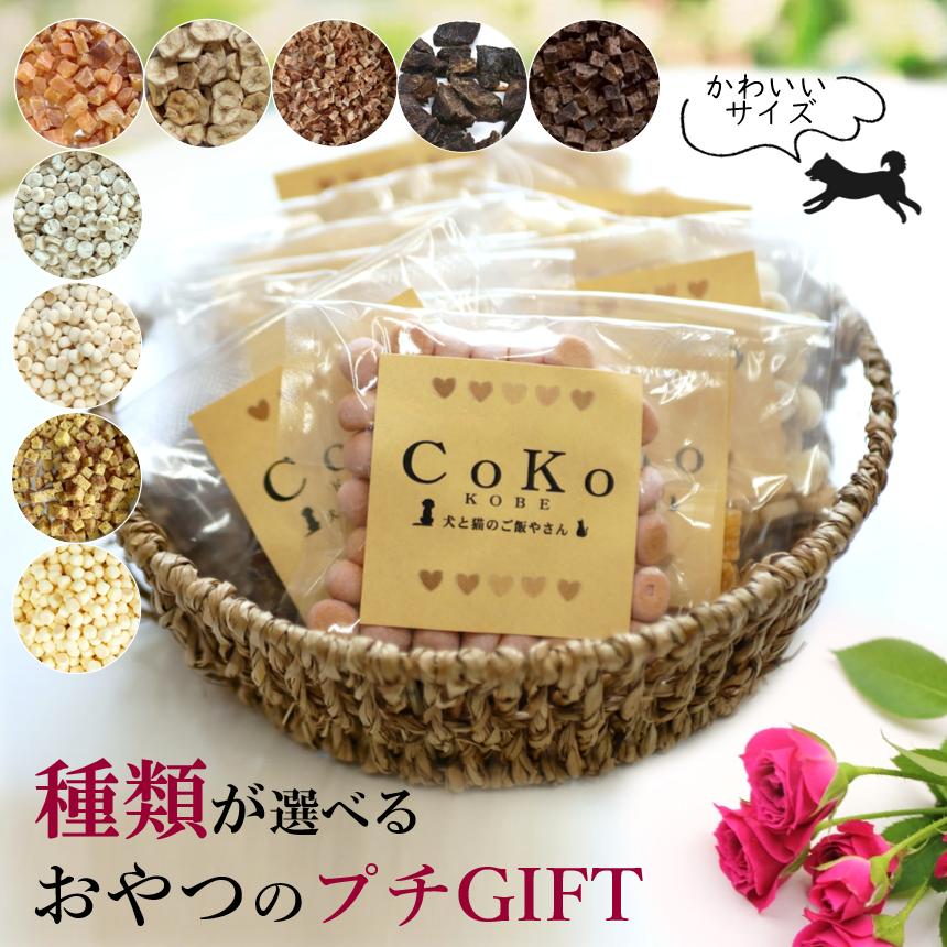 CoKoオリジナル 国産 犬おやつ 無添加 わんこのプチギフト