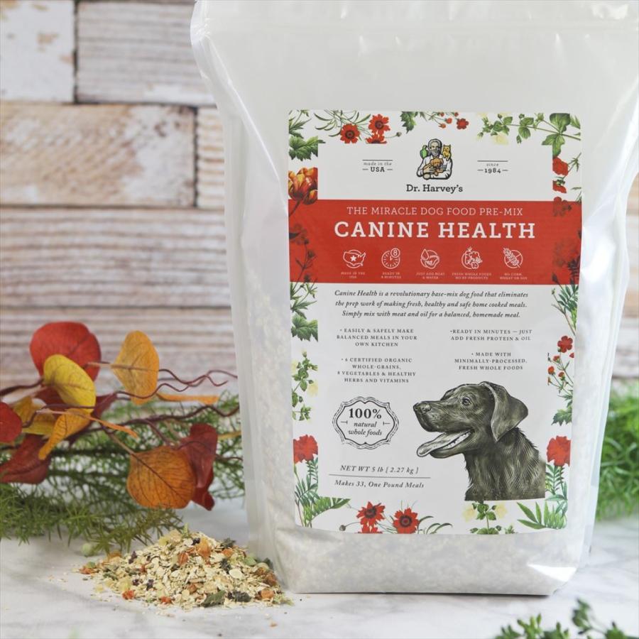 severed hand dog toy