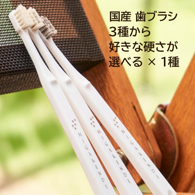 国産 ペット用 歯ブラシ ペット用 歯ブラシ ミガケンデ 天然毛 小型犬用 ヤギ毛 ウマ毛 3種から選べる歯ブラシ 1本 歯磨き 犬用 猫用 | MIGAKENDE
