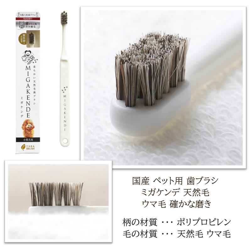 国産 ペット用 歯ブラシ ペット用 歯ブラシ ミガケンデ 天然毛 小型犬用 ヤギ毛 ウマ毛 3種から選べる歯ブラシ 1本 歯磨き 犬用 猫用 | MIGAKENDE | 11