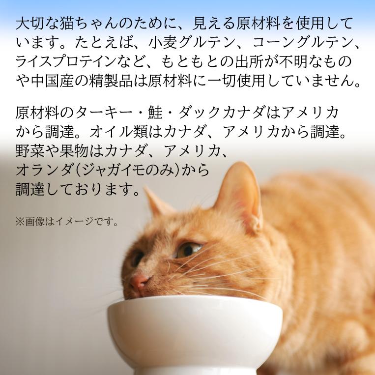 ナウフレッシュ 猫 キャットフード ドライ アダルトフィッシュキャット グレインフリー(350g)｜coko-kobe-dogcat｜06