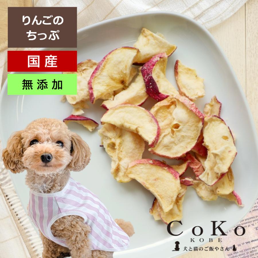 CoKoオリジナル 犬おやつ 無添加 国産 りんごちっぷ (50g) Apple chip for dogs original
