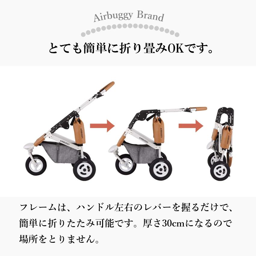 DOME エアバギー 犬 ペット レギュラー ドーム3 プレミア プレミア