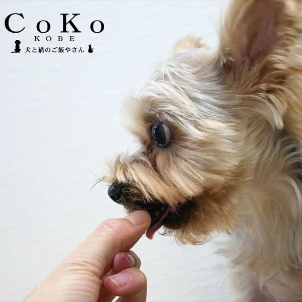 CoKoオリジナル 犬おやつ 肉の素材 無添加 国産 鹿肉サイコロステーキ (40g) Venison steak for dogs｜coko-kobe-dogcat｜06