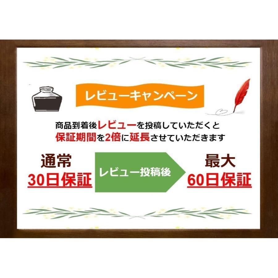 任天堂（Nintendo） DSi レシラム・ゼクロムエディション〈ホワイト