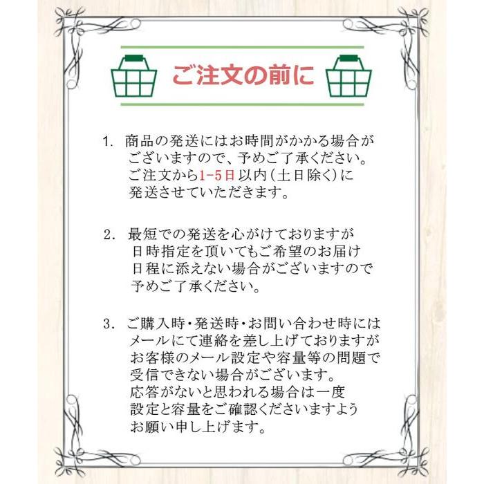 セガ（SEGA） 【被りなし！】セガサターン10本 福袋 詰め合わせ