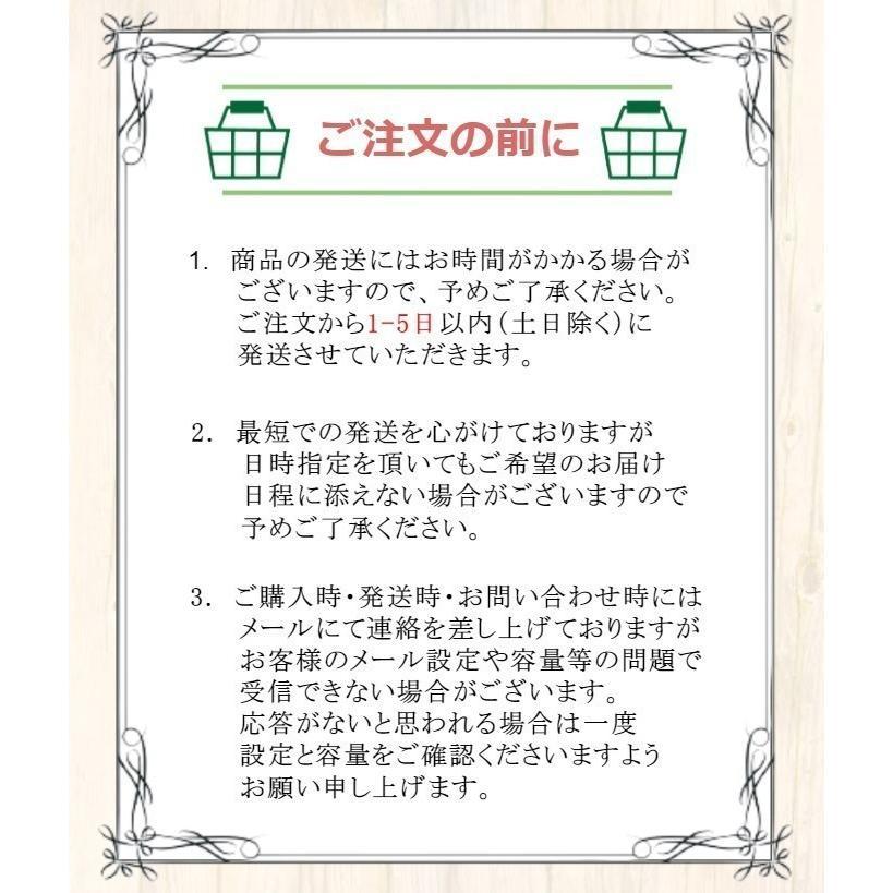 Nintendo Switch 【レビューキャンペーン実施中!】NintendoSwitchLite