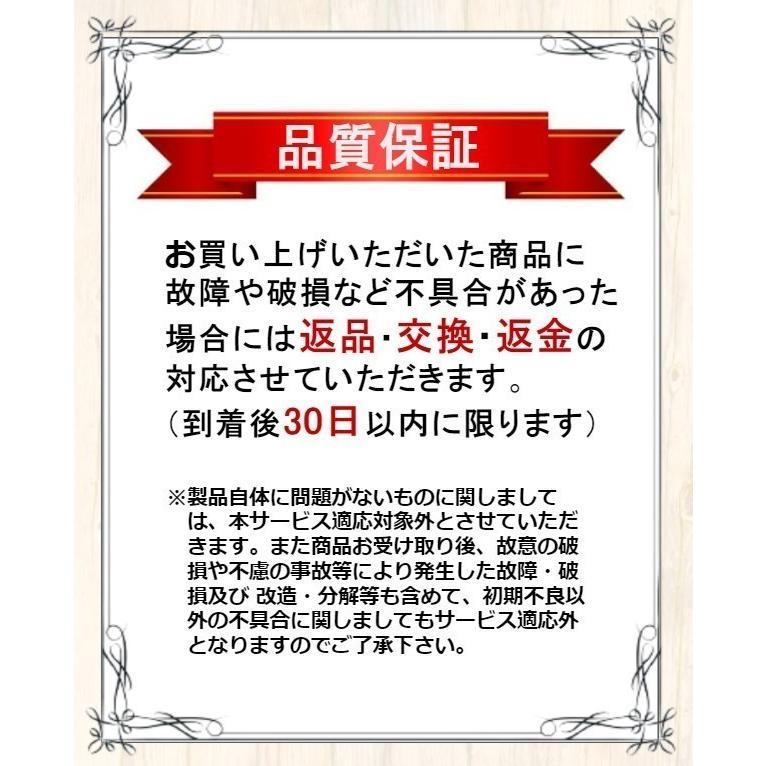 DSLite DSライト 本体 ニンテンドーDSLite すぐに遊べるセット 選べる8 