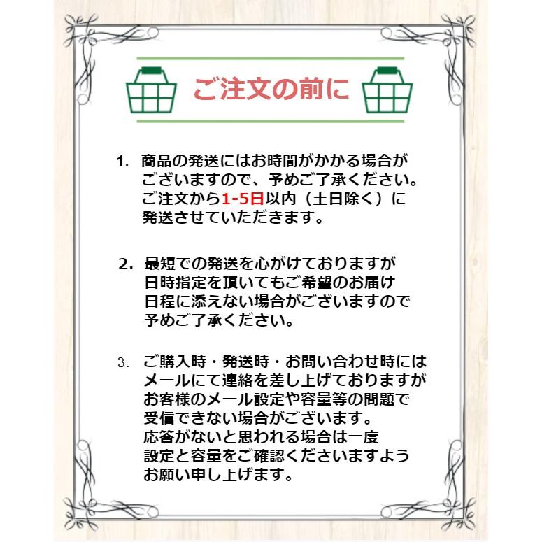 3DS 本体 任天堂 すぐ遊べるセット 送料無料 選べる6色｜cokotokyo｜03