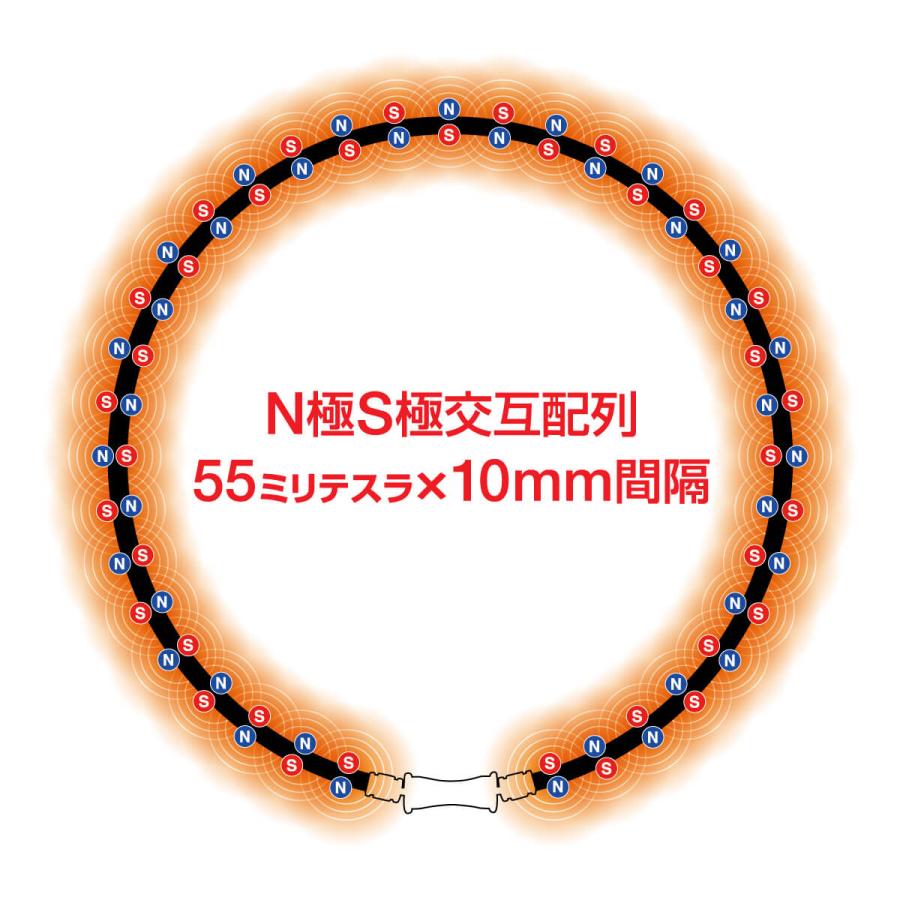 【公式店P10倍】コラントッテ TAO ネックレス RAFFI マットブラック 磁気ネックレス 肩こり メンズ 男性 健康ネックレス プレゼント 母の日 | ColanTotte | 09