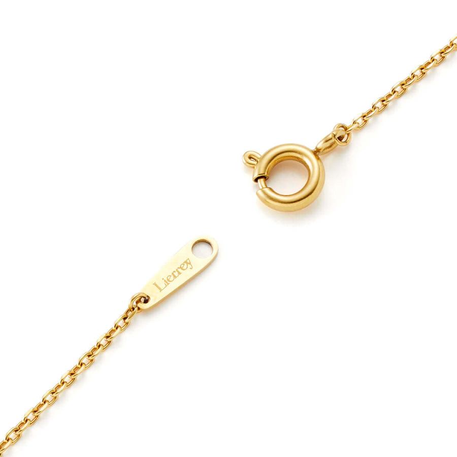 Lierrey 【期間限定P5倍】【公式】リエリィ カーブネックレス 磁気