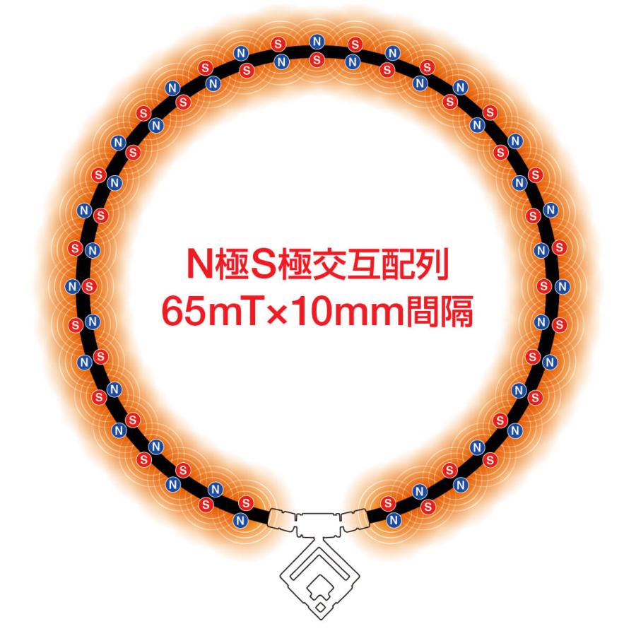 ColanTotte（コラントッテ） 【公式店P10倍】公式限定ギフトセット TAO