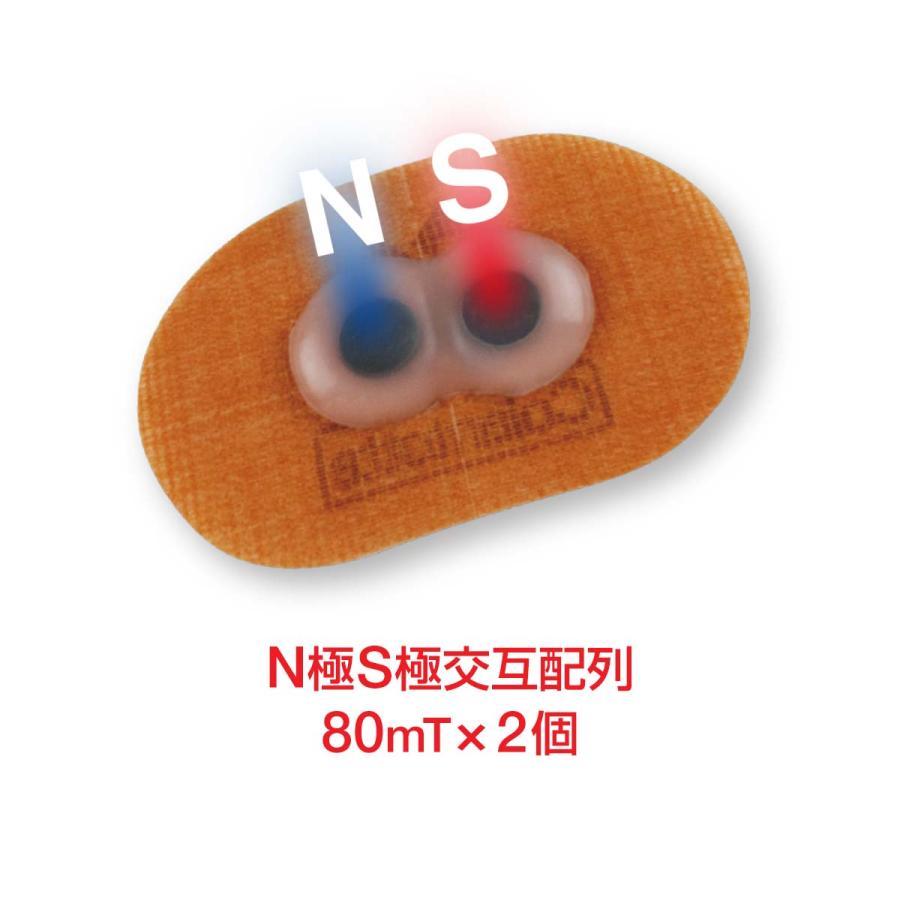 ColanTotte（コラントッテ） NS マグネバン 80x2（10枚入り）10個