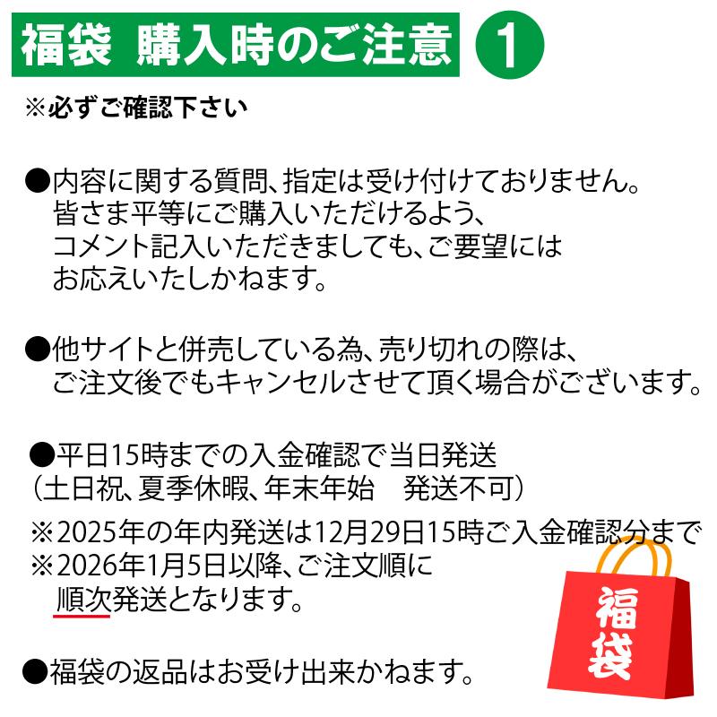 PROMASTER 【並行輸入品】 CITIZEN 福袋 2026 日本未発売!! 2本入り