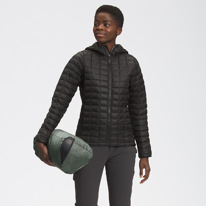 THE NORTH FACE ノースフェイス テント 3人用 ストームブレーク3 THE NORTH FACE ノースフェイス テント 3人用 ストームブレーク3