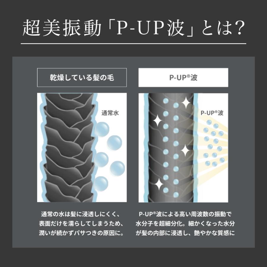 正規販売店】P-UP XTERRA CHEMISTRY ヘアアイロン ピーアップ
