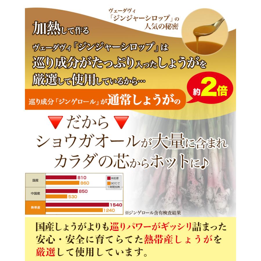 ヴェーダヴィ ジンジャーシロップ ミニ１３０ｇ３本まとめ買いセット しょうがシロップ 生姜 しょうが が濃い 生まれのブランドで 国産 食品 無添加 ショウガオール