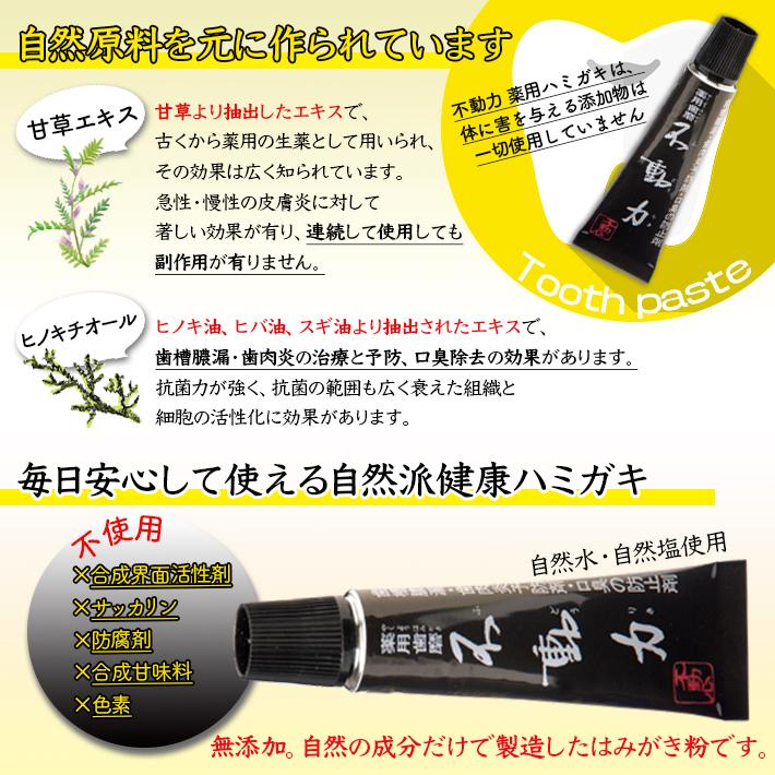 不動力 ふどうりき 薬用 ハミガキ 不動化学 口臭予防 歯槽膿漏 歯肉炎予防 医薬部外品 歯磨き粉 自然塩 ソルト はみがき ８０ｇ Hdk0017 美肌作り40年プロの店 Be Happy 通販 Yahoo ショッピング