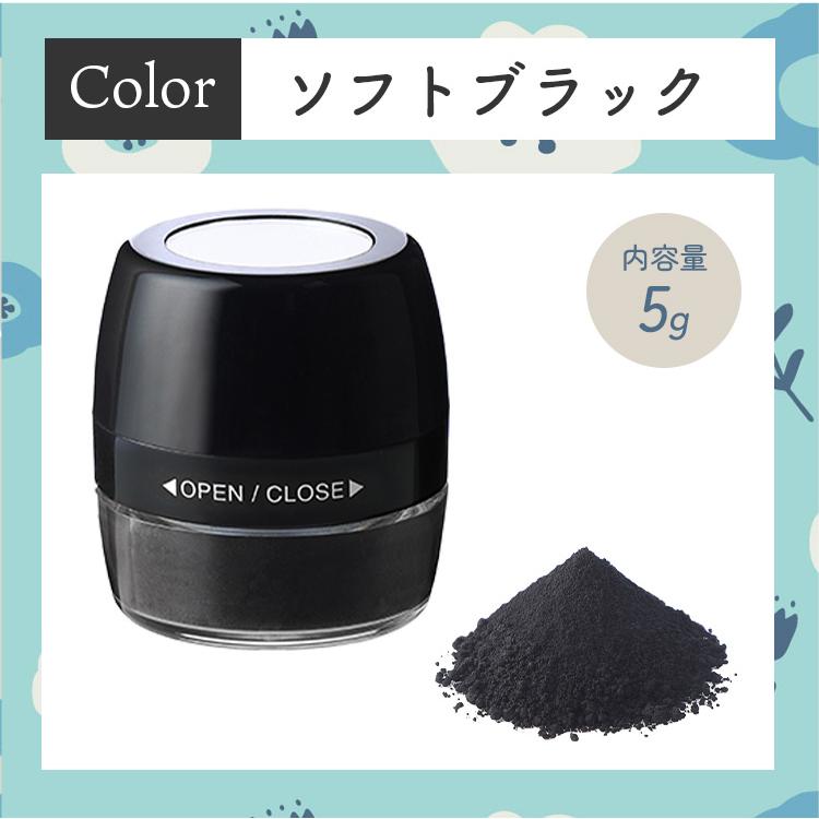 そのまま！（シンエイ） 白髪隠し 薄毛隠し パウダー 白髪染め