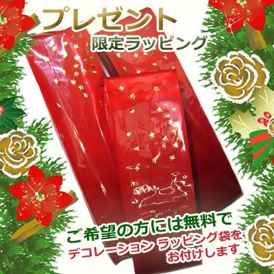 ブレイブボード 日本限定モデル【30分で乗れるDVD付】 リップ ブレイブボード 日本限定モデル【30分で乗れるDVD付】 リップ