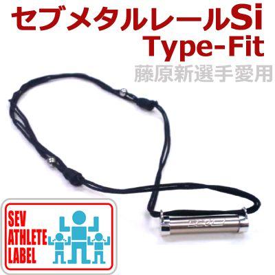 レビュー高評価の商品！ SEVメタルレール Si タイプFit セブアスリート