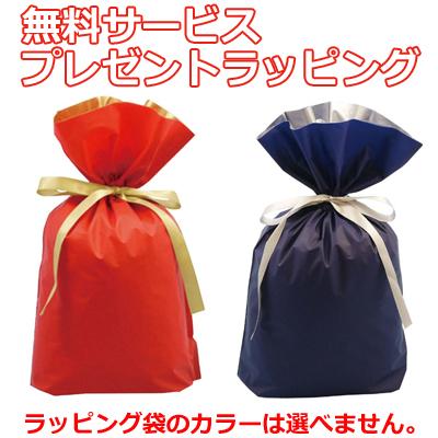 値頃 SEV シーカー model Ti Seeker ボディ SEV セブ ネックレス