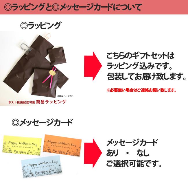 母の日 早割 セット購入で20％OFF！単品より断然お得 ネックレス レディース 蛍石 ホタル石 ホタルガラス ヴェネチアンガラス風 ベネチアンガラス風 |  | 03