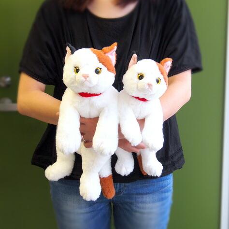 サンレモン】ぬいぐるみ ひざねこ ミケMサイズ 膝乗せ 猫 キャット 膝