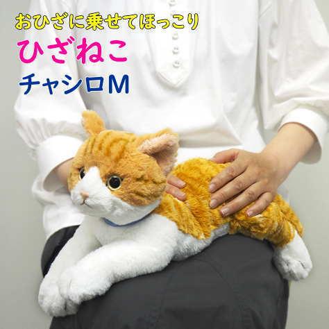 サンレモン】ぬいぐるみ ひざねこ チャシロMサイズ 膝乗せ 猫 キャット
