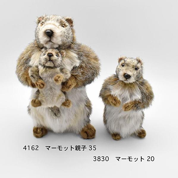 ハンサ【HANSA】ぬいぐるみ マーモット親子35 オーストラリア