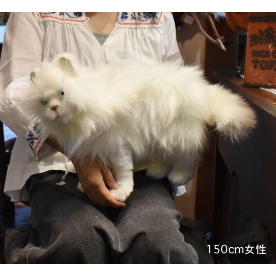 ハンサ【HANSA】ぬいぐるみ シロネコ35 白猫 白いねこ : 逸品shop