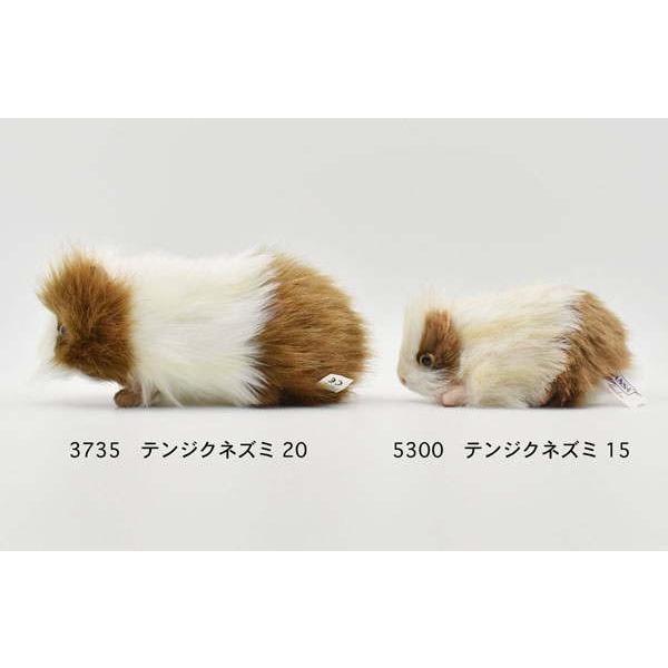 ハンサ【HANSA】ぬいぐるみ テンジクネズミ15 モルモット : 逸品