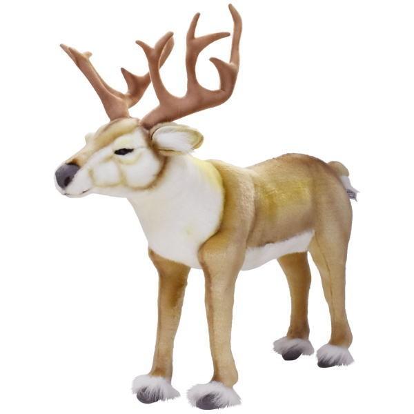 チャドバレー✳︎チルターンパペットわんちゃん ワンちゃんみたいなお