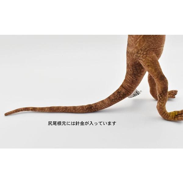 ハンサ ｈａｎｓａ ぬいぐるみ エリマキトカゲ36 注目ブランド