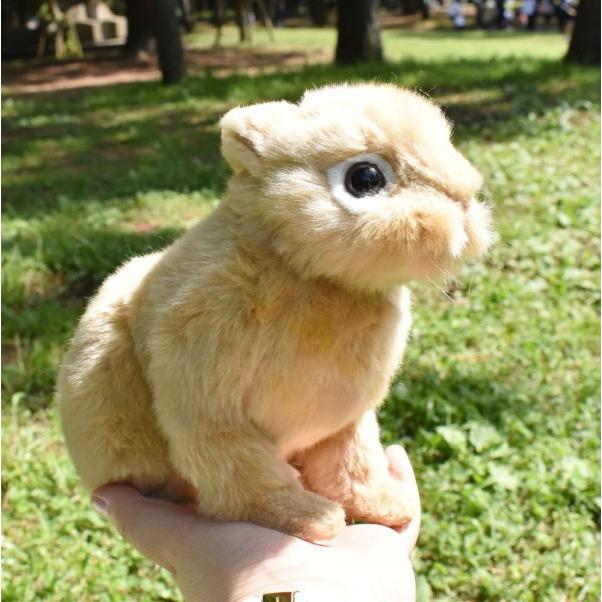 ハンサ ｈａｎｓａ ぬいぐるみ ネザーランド ドワーフ ラビット 小型うさぎ 7022 逸品shopコレコレ Yahoo 店 通販 Yahoo ショッピング