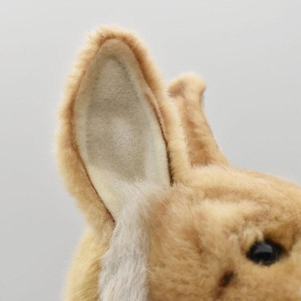 ハンサ【ＨＡＮＳＡ】ぬいぐるみ アカカンガルー53cm オーストラリア ブランド hansa かわいい 映える 開店祝い 内祝い 誕生日祝いの画像