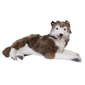 ハンサ【ＨＡＮＳＡ】ぬいぐるみ ハスキー犬60cm リアルアニマル オーストラリア ブランド hansa かわいい 映える 開店祝い 内祝い 誕生日祝い 動物