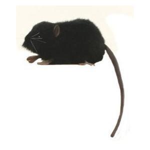 ハンサ【HANSA】ぬいぐるみ 黒ネズミ27cm ねずみ リアルアニマル