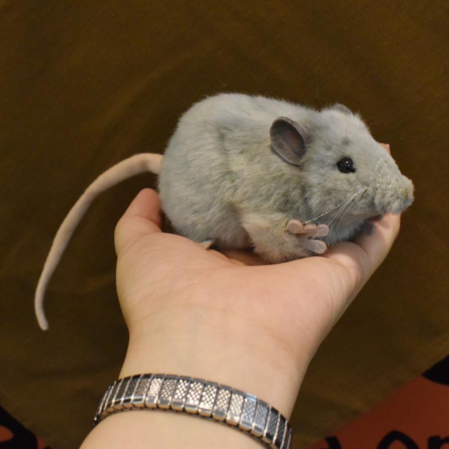 ハンサ ｈａｎｓａ ぬいぐるみ 灰色ネズミ27cm Hansa191 逸品shopコレコレ Yahoo 店 通販 Yahoo ショッピング