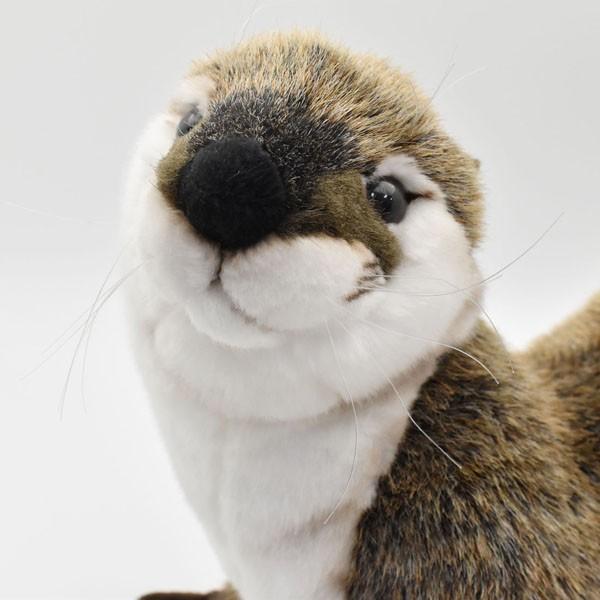 ハンサ【HANSA】ぬいぐるみ カワウソ69cm 愛らしい表情としぐさ