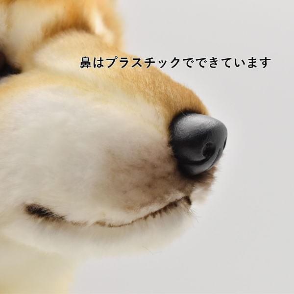 ハンサ【HANSA】ぬいぐるみ 柴犬48cm リアルアニマル