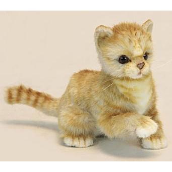 ハンサ【HANSA】ぬいぐるみ子ネコ ジンジャー20cm リアル
