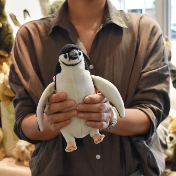 楽天市場】HANSA ハンサ ぬいぐるみ7085 フィヨルドランドペンギン