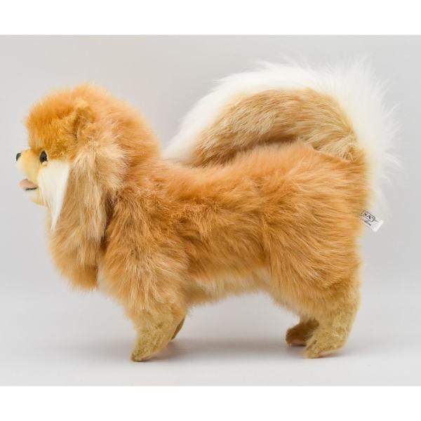 ハンサ【ＨＡＮＳＡ】ぬいぐるみ ポメラニアン39cm いぬ 犬 リアルアニマル オーストラリア ブランド hansa かわいい 映える 開店祝い 内祝い 誕生日祝い 動物の画像