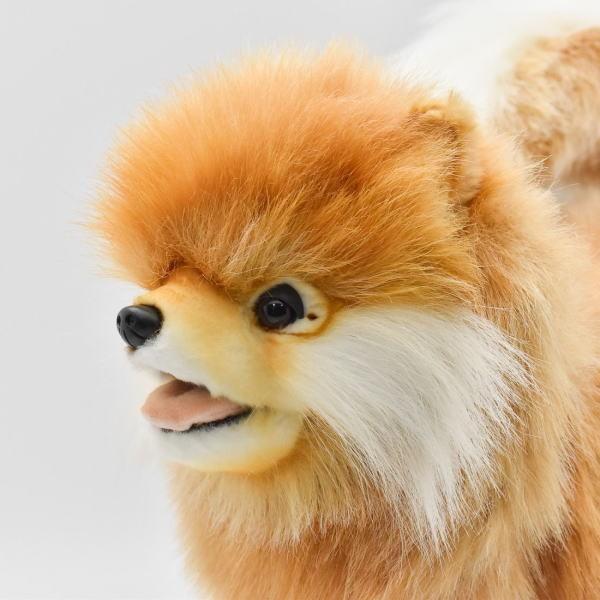 ハンサ【ＨＡＮＳＡ】ぬいぐるみ ポメラニアン39cm いぬ 犬 リアルアニマル オーストラリア ブランド hansa かわいい 映える 開店祝い 内祝い 誕生日祝い 動物の画像