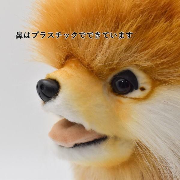 ハンサ【ＨＡＮＳＡ】ぬいぐるみ ポメラニアン39cm いぬ 犬 リアルアニマル オーストラリア ブランド hansa かわいい 映える 開店祝い 内祝い 誕生日祝い 動物の画像